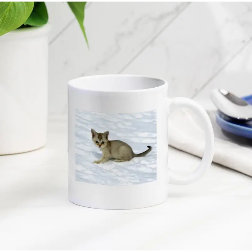 Personalised Photo Mug