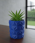 A green succulent plant in a blue /Red faceted geometric planter, placed on a dark wooden table with a blurred window and outdoor view in the background.