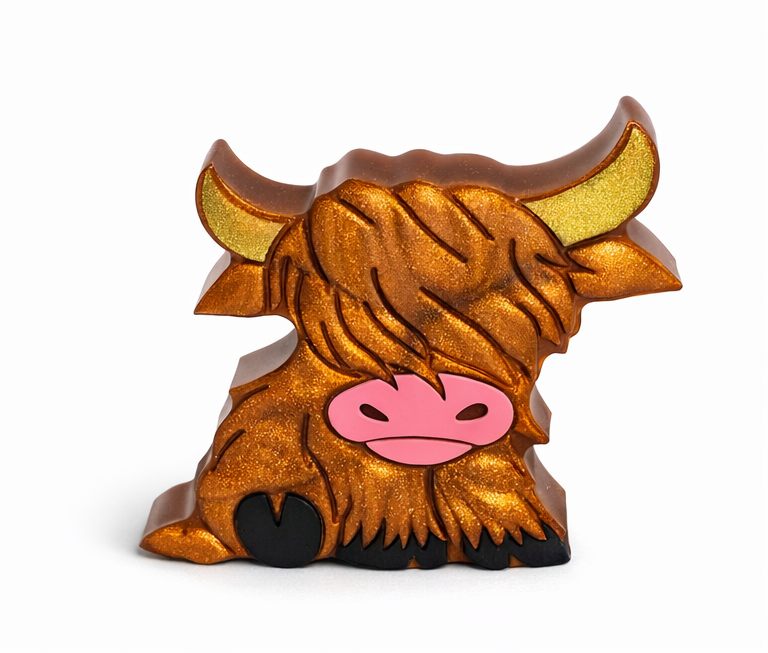 Highland cow 1