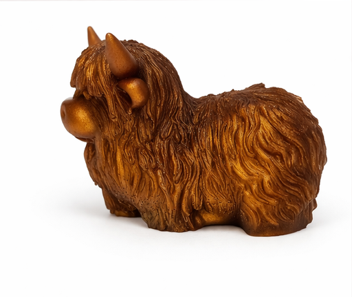 Highland cow 11