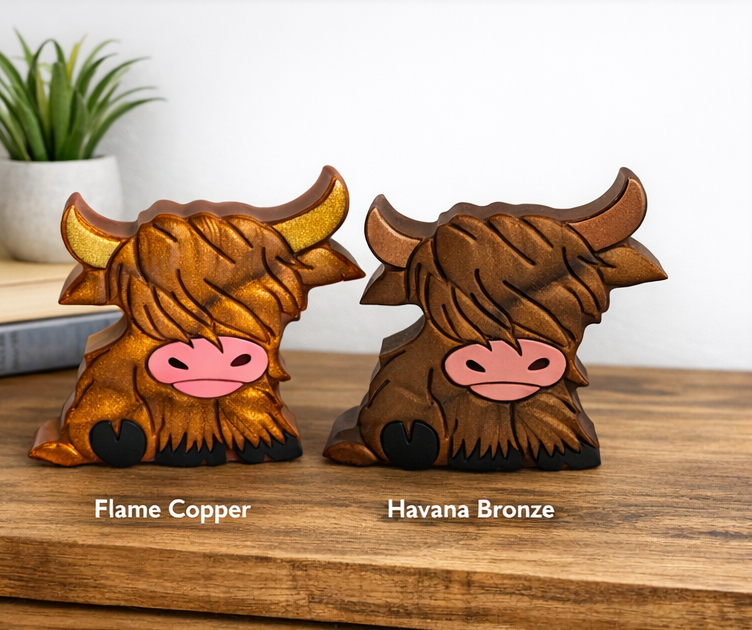 Highland cow 3