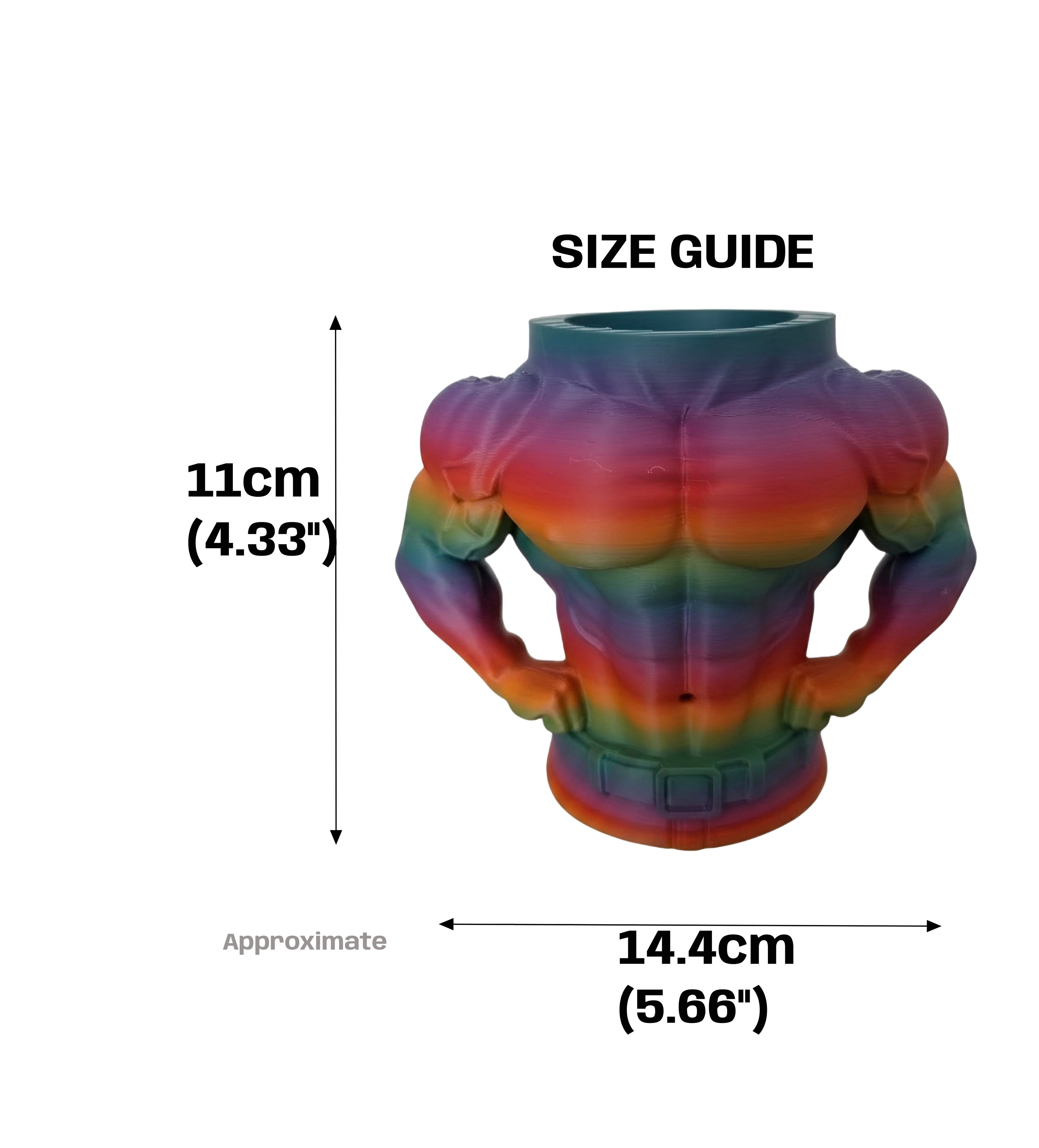 A size guide diagram showing a muscular torso-shaped planter with rainbow coloration, labeled 11 cm tall by 14.4 cm wide, on a white background.
