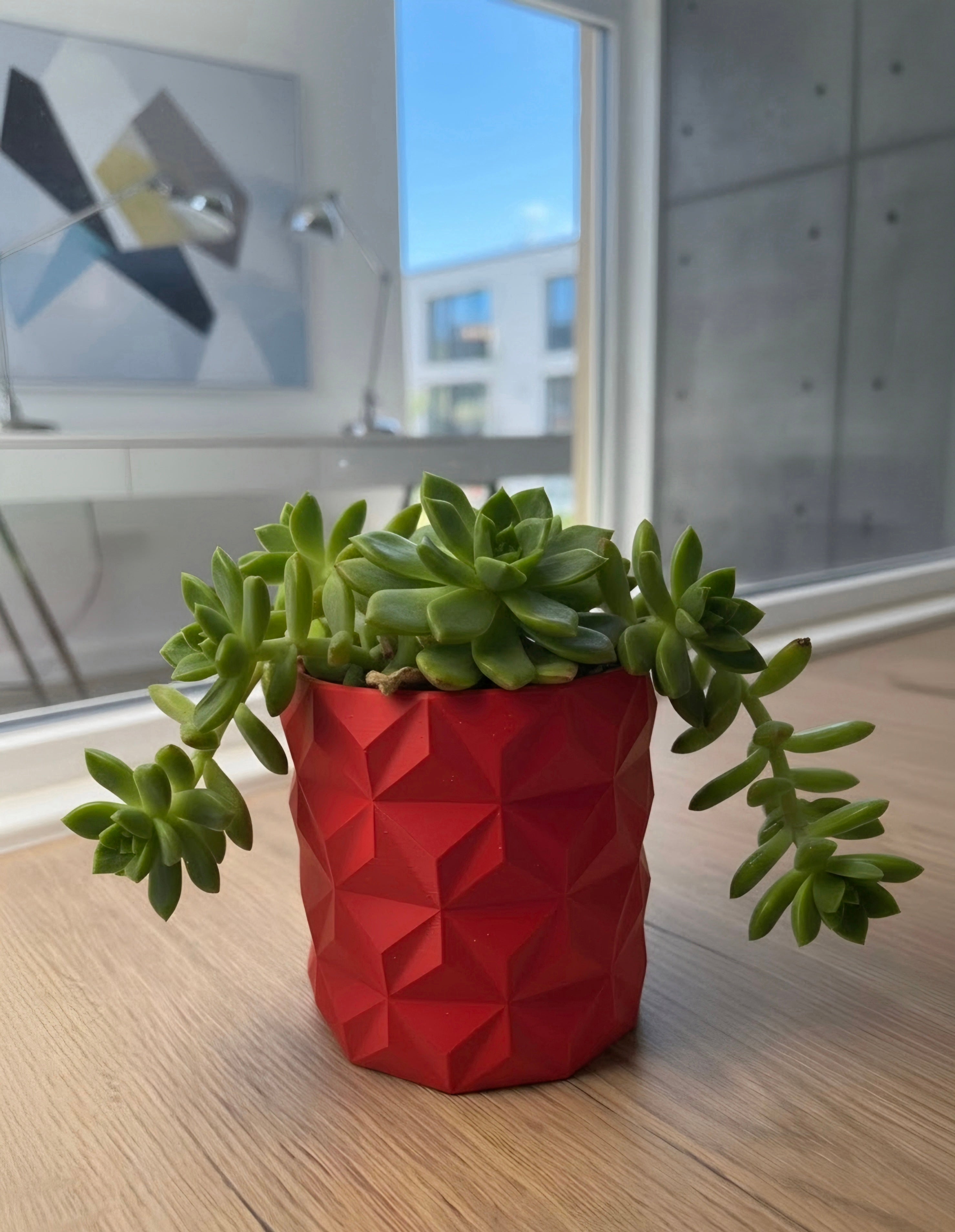 A green trailing succulent plant in a red/Yellow faceted geometric planter, placed on a light wood tabletop in a modern room with a window and concrete wall in the background.