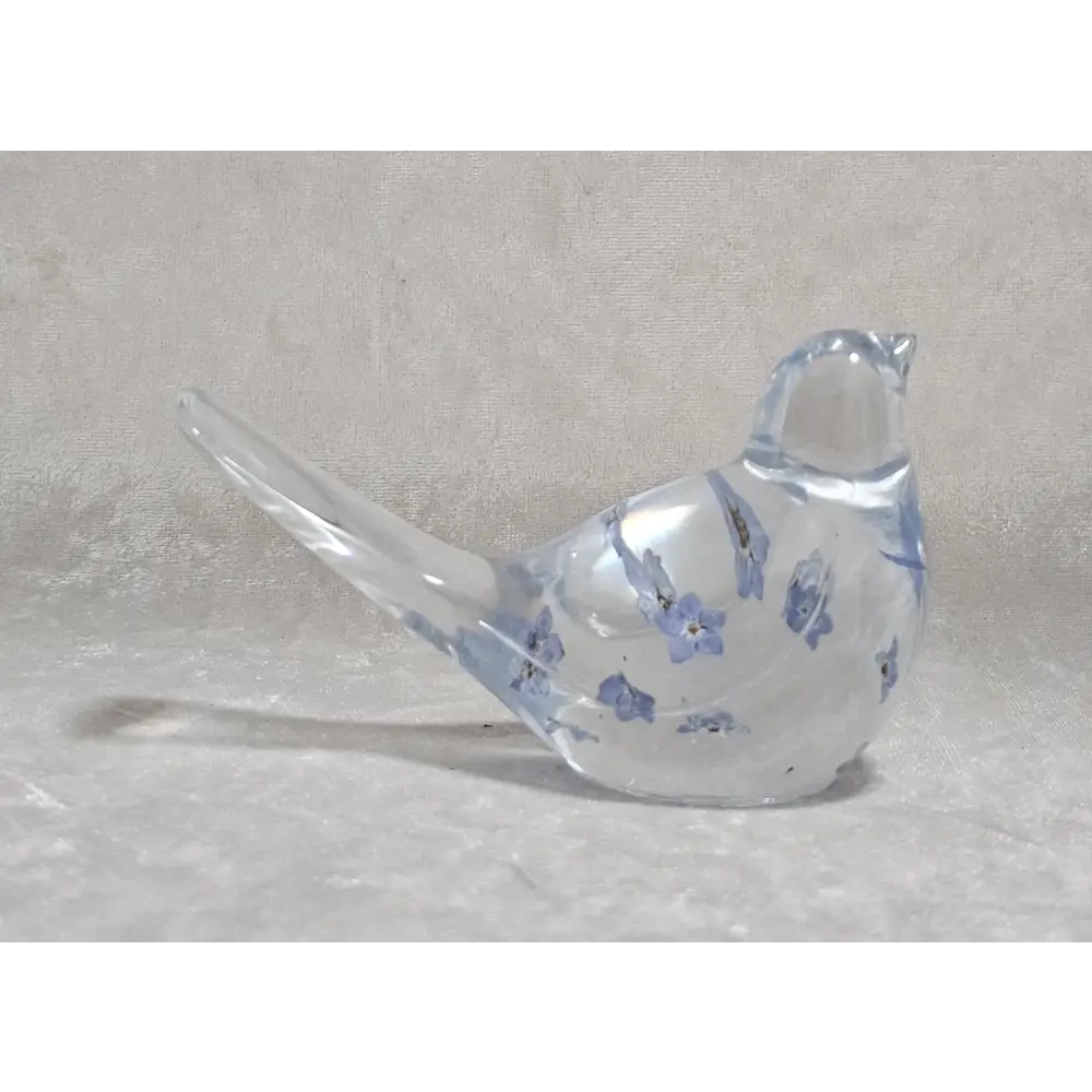 Bird_forget_me_not_5