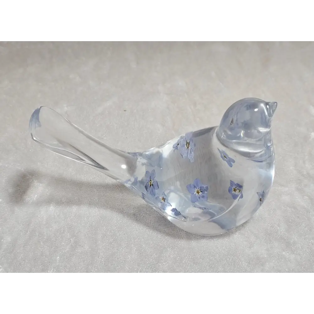 Bird_forget_me_not_3